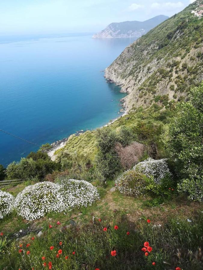 La Ginestra Hotel Corniglia Exterior photo